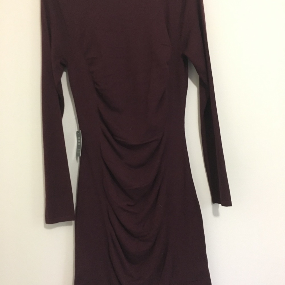Express Dress - Picture 4 of 4